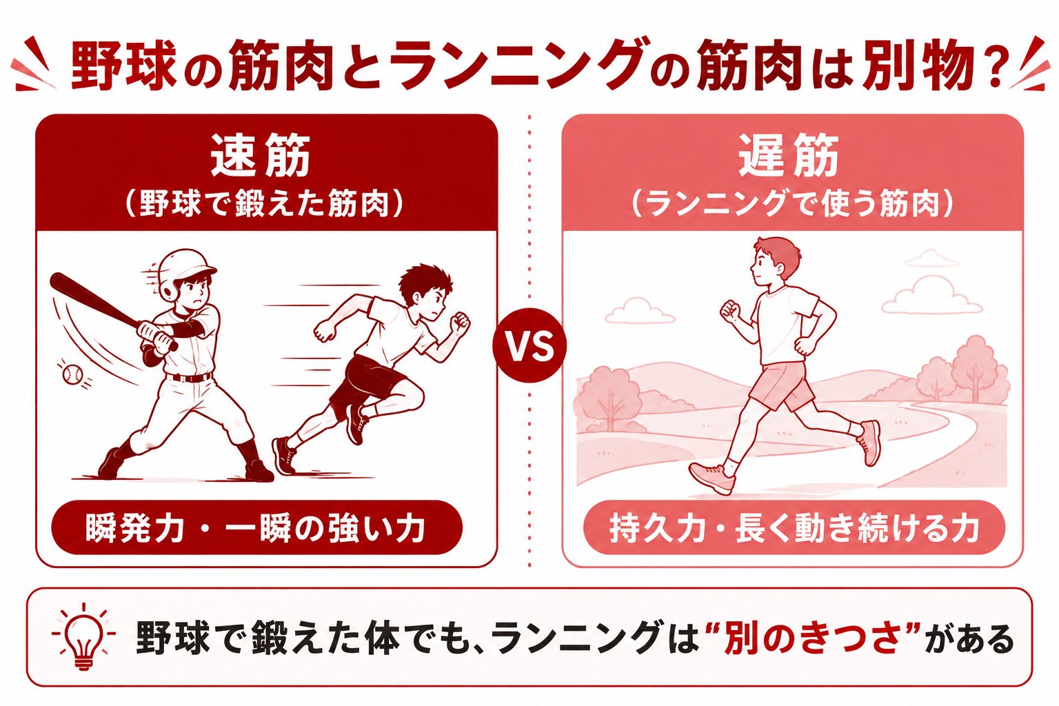 野球の筋肉とランニングの筋肉は別物?速筋と遅筋の違い